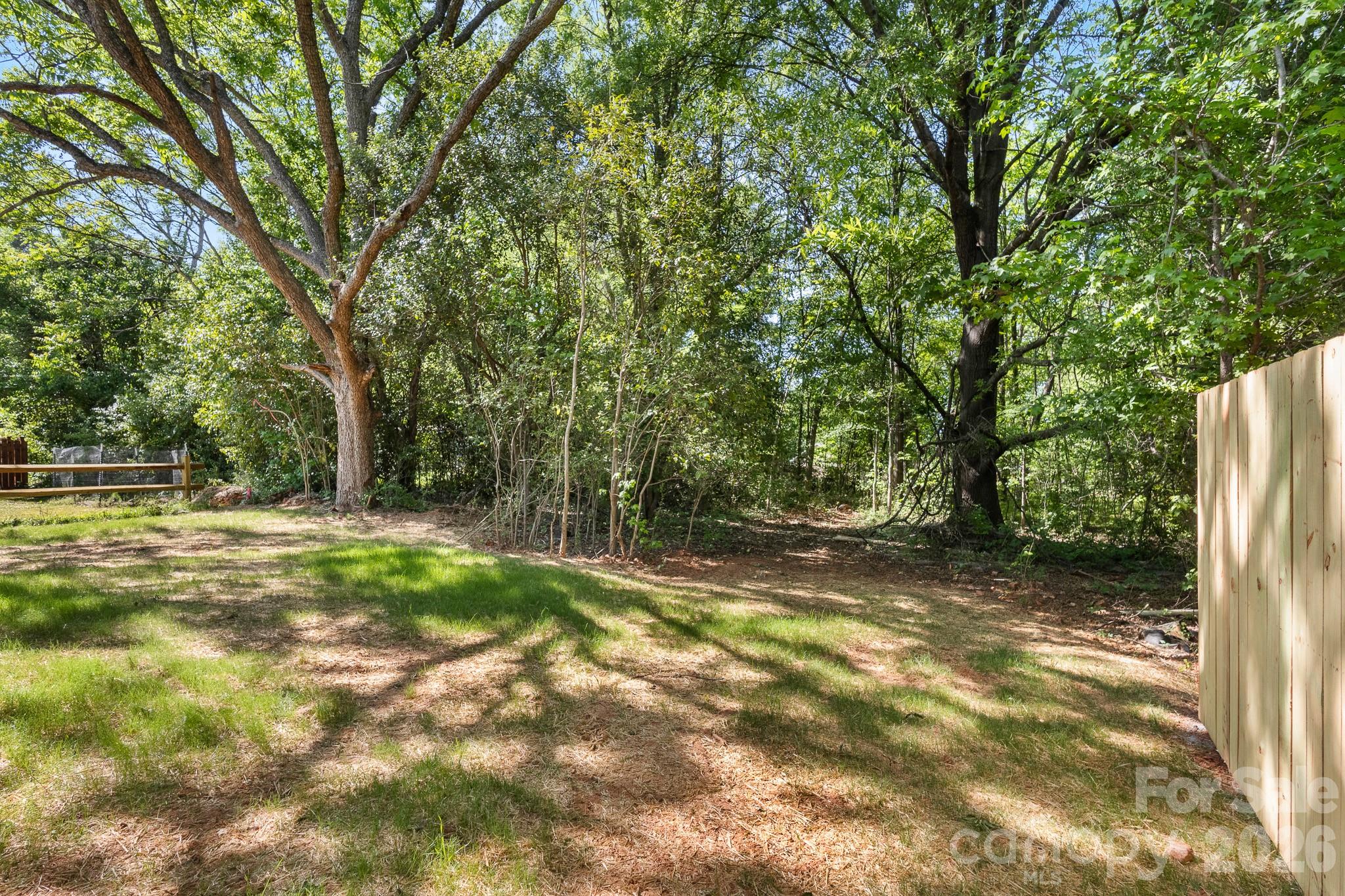 805 Hunter Street York, SC 29745 - Photo 32 of 38 a view of a yard with a tree