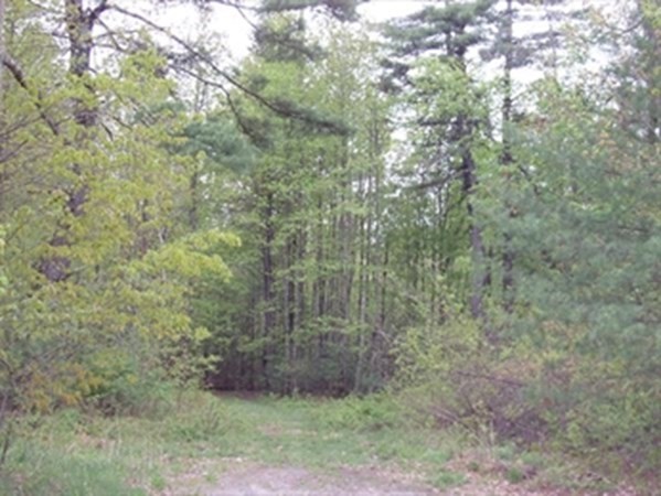 0 Little Turnpike Road Shirley, MA 01464 - Photo 1 of 1 Gallery Image 1