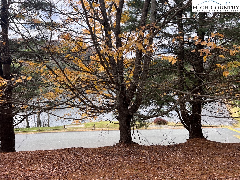 a view of outdoor space and trees