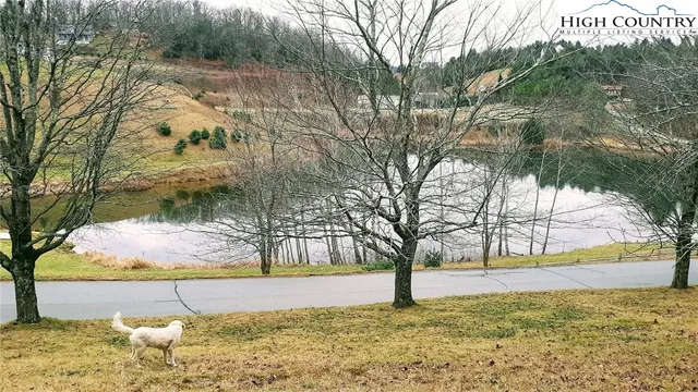 a view of yard with tree in the background