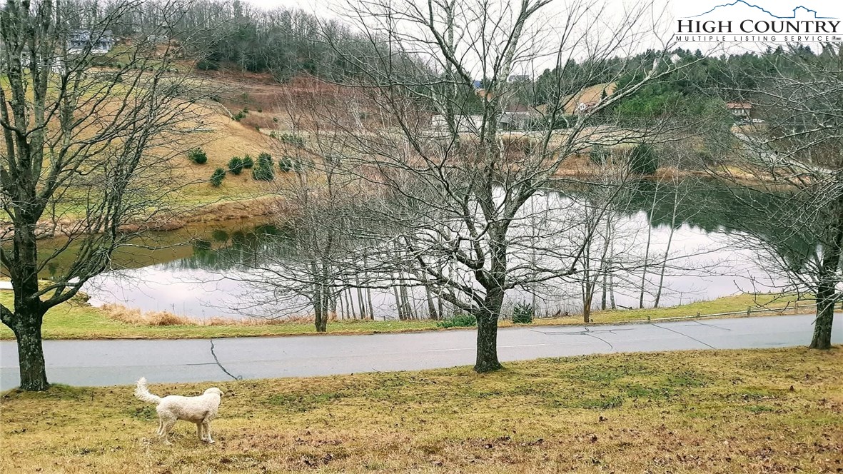 Heritage Ridge Road Boone, NC 28607 - Photo 12 of 14