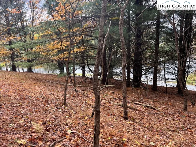 a view of a yard with trees