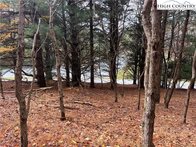 a backyard of a house with lots of tall trees
