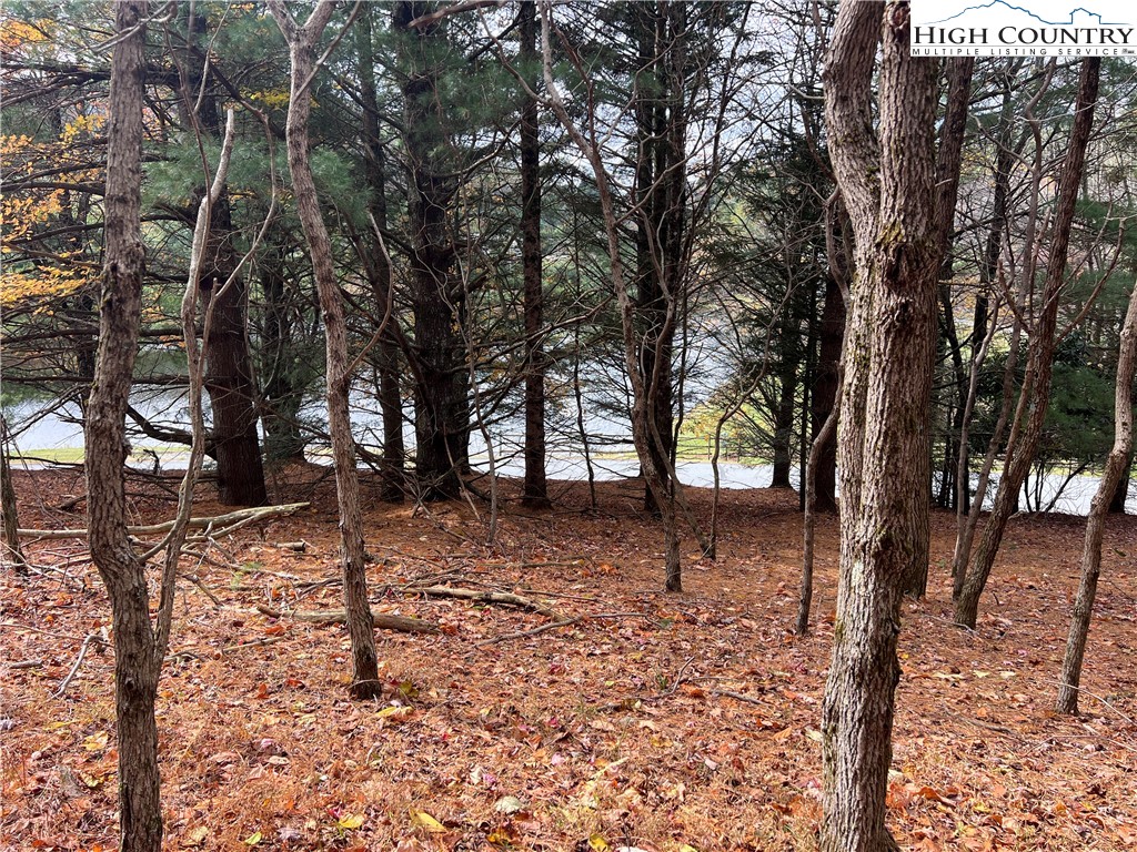 Heritage Ridge Road Boone, NC 28607 - Photo 5 of 7 a backyard of a house with lots of tall trees