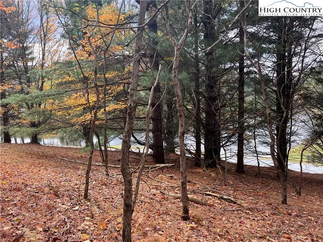 a view of outdoor space with lots of trees