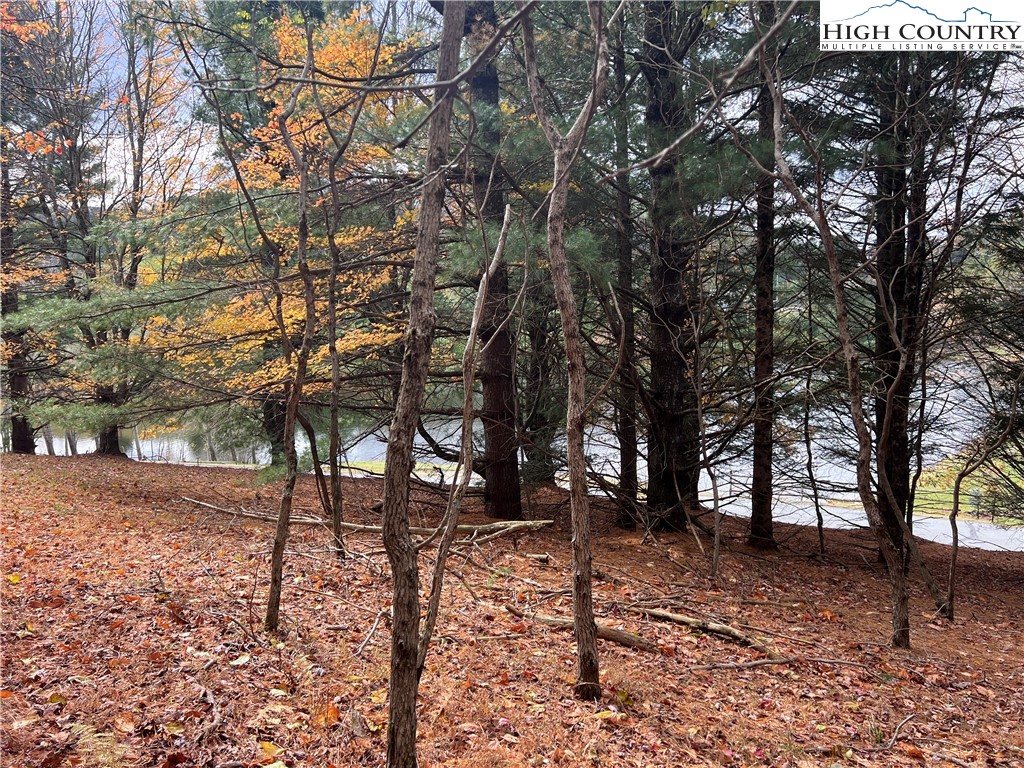 Heritage Ridge Road Boone, NC 28607 - Photo 6 of 7 a view of outdoor space with lots of trees