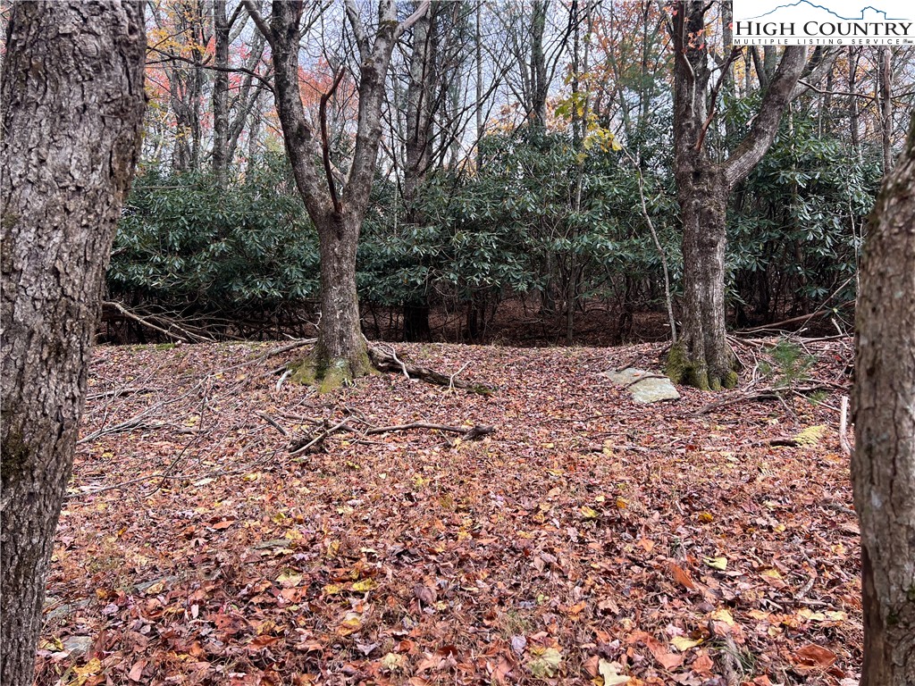 Heritage Ridge Road Boone, NC 28607 - Photo 7 of 7 a view of covered with snow