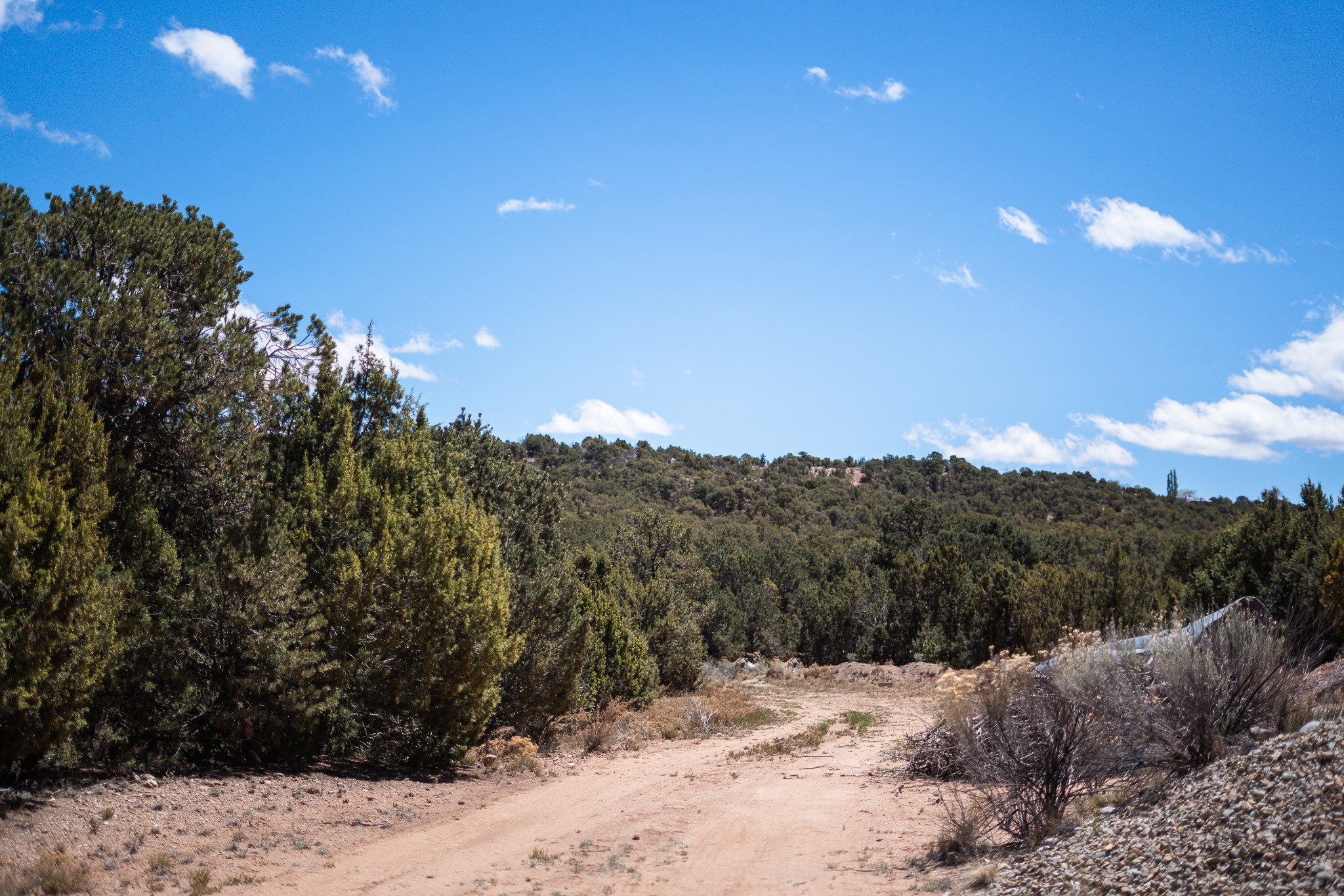 67-acres Red Ridge Santa Fe, NM 87501 - Photo 19 of 40 Middle Lot