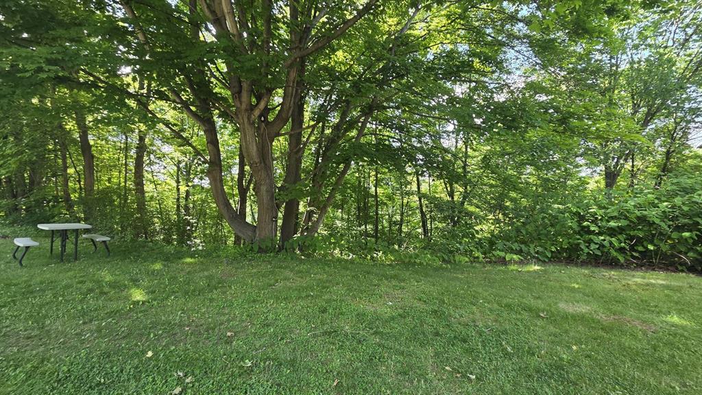 411 La Belle Vue Road Vandergrift, PA 15690 - Photo 9 of 10