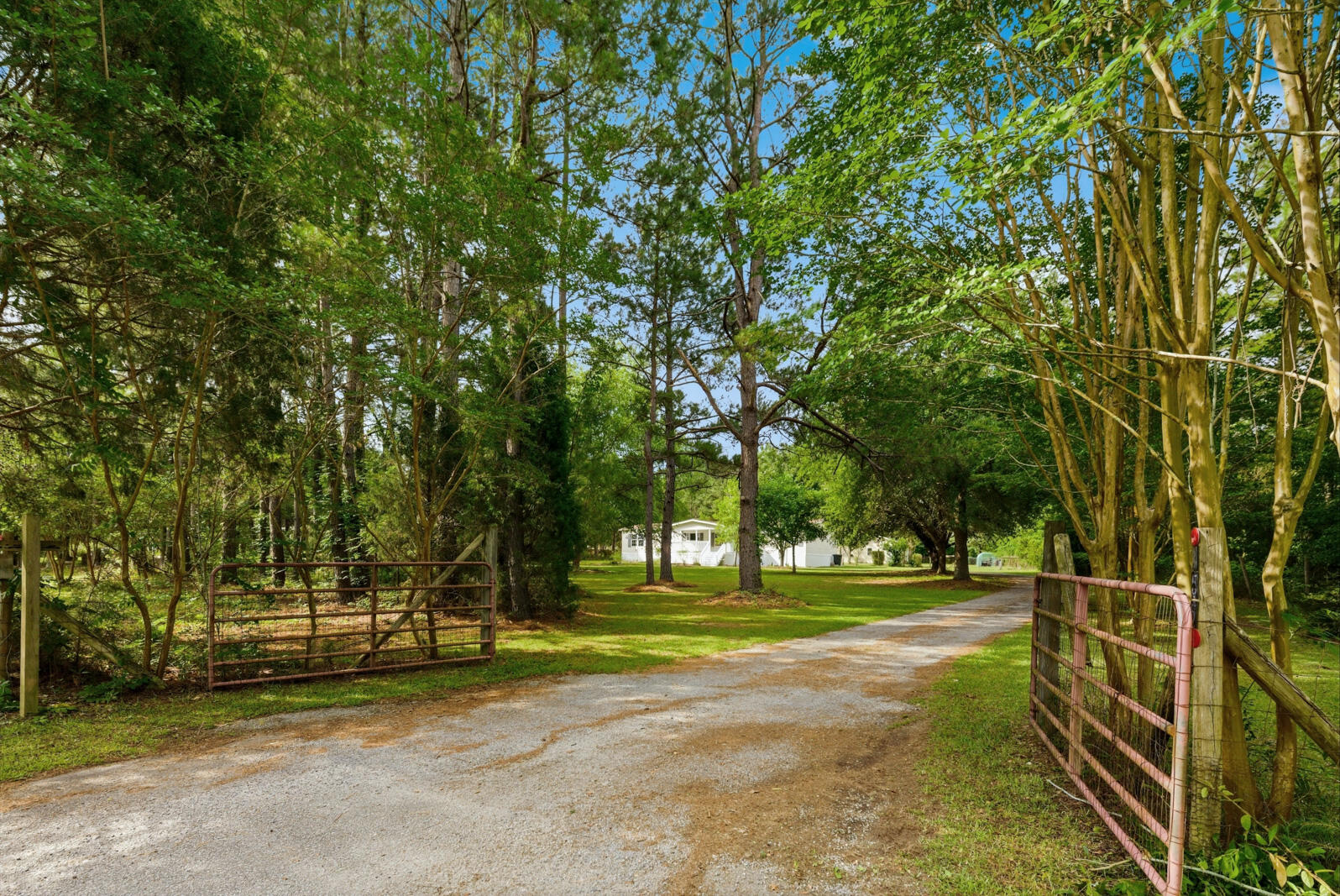 355 Trinity Church Road St. Stephen, SC 29479 - Photo 6 of 62 6