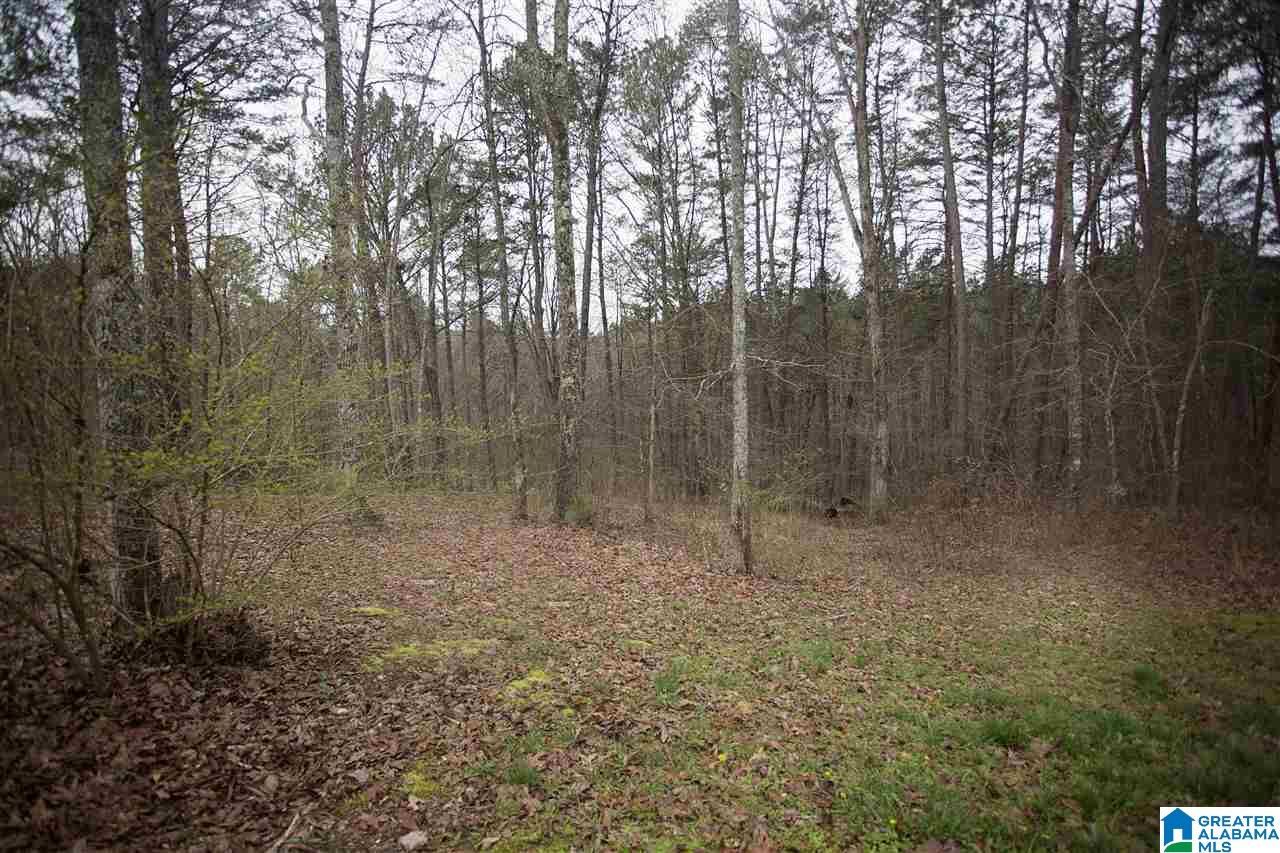 1960 Paradise Valley Road Gardendale, AL 35071 - Photo 39 of 41