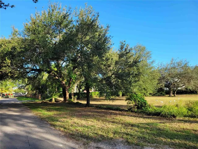 a view of park with tree