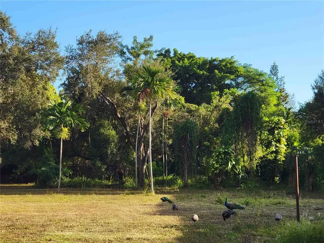a view of a swimming pool and trees in the background