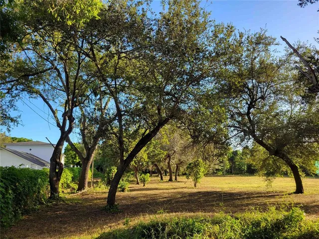 a view of a yard with large trees