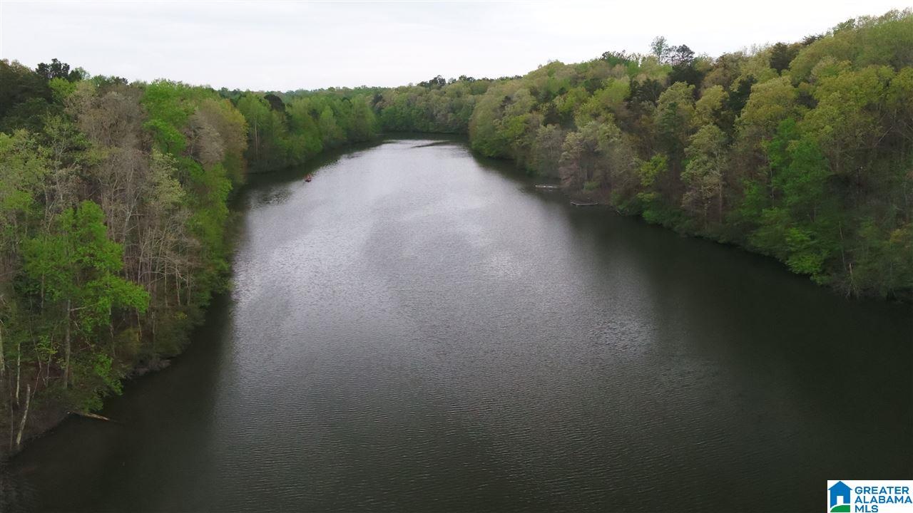 0 Dime Road, Unit 1 20 Haleyville, AL 35565 - Photo 14 of 14