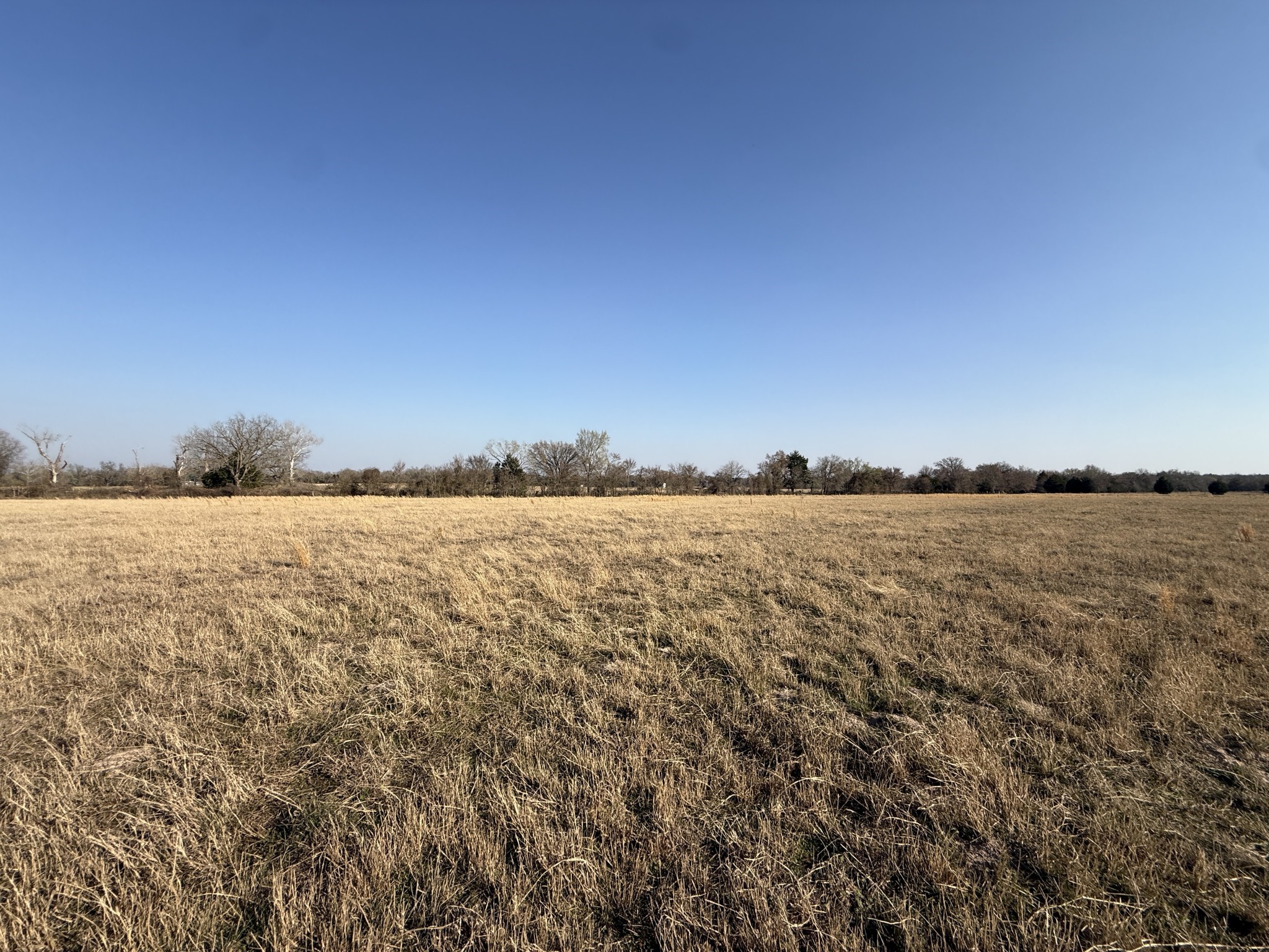 7 Fcr 445 Fairfield, TX 75840 - Photo 14 of 15 a view of lake and mountain