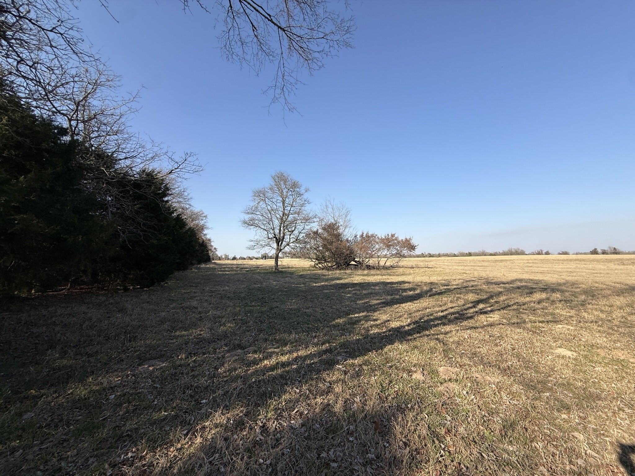 7 Fcr 445 Fairfield, TX 75840 - Photo 6 of 15