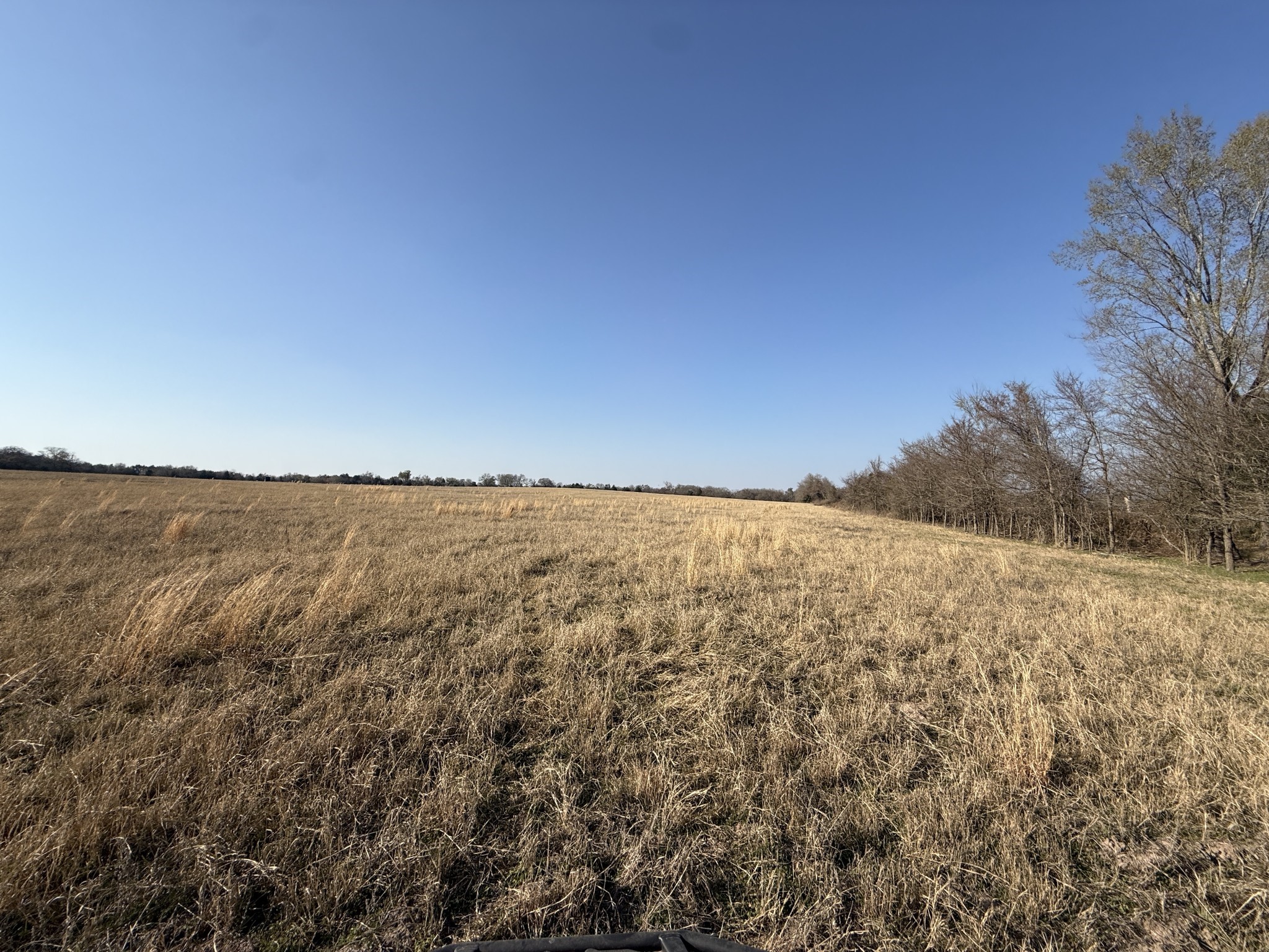 7 Fcr 445 Fairfield, TX 75840 - Photo 7 of 15 a view of yard and mountain