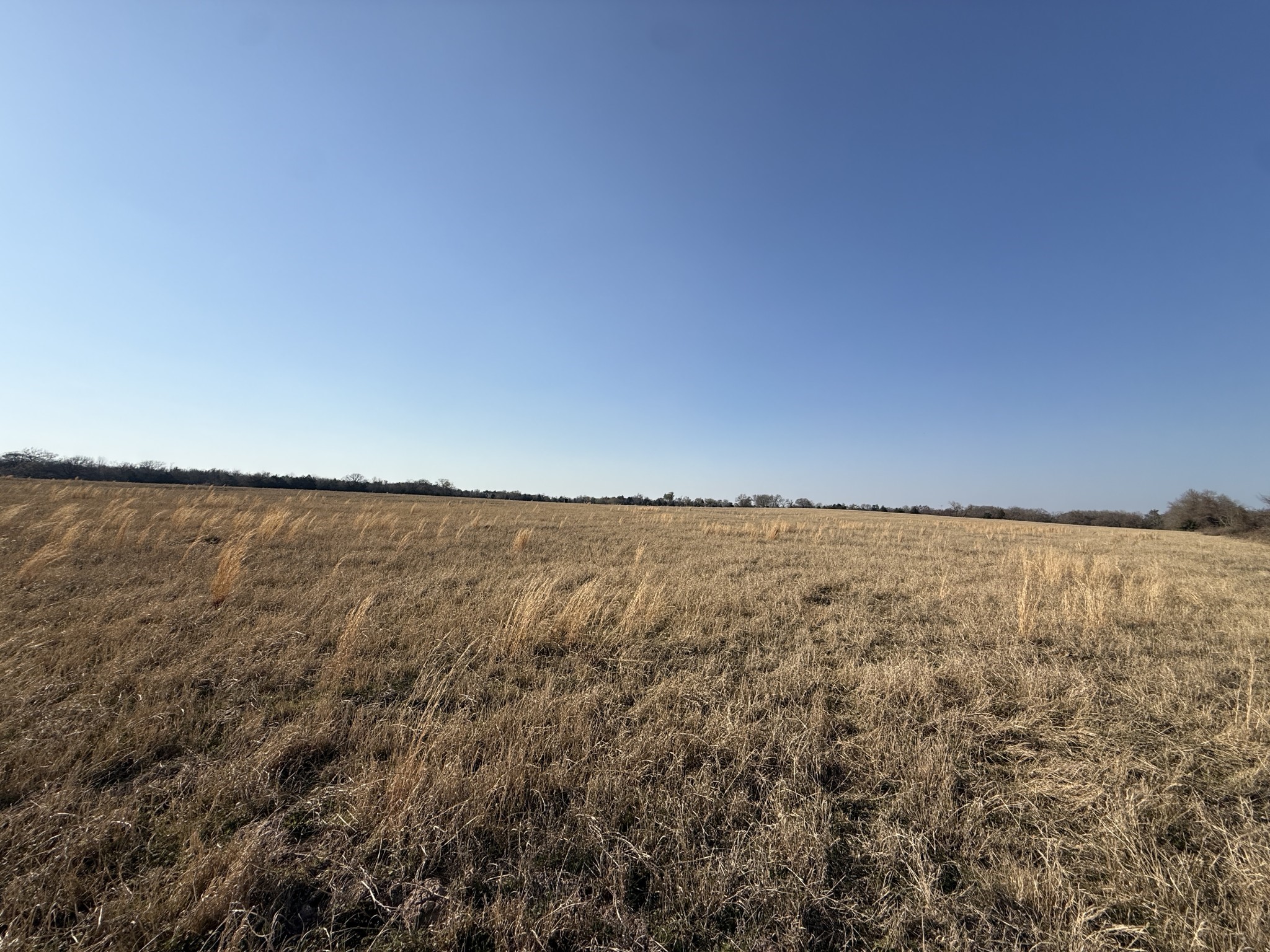 7 Fcr 445 Fairfield, TX 75840 - Photo 9 of 15 a view of an ocean and beach