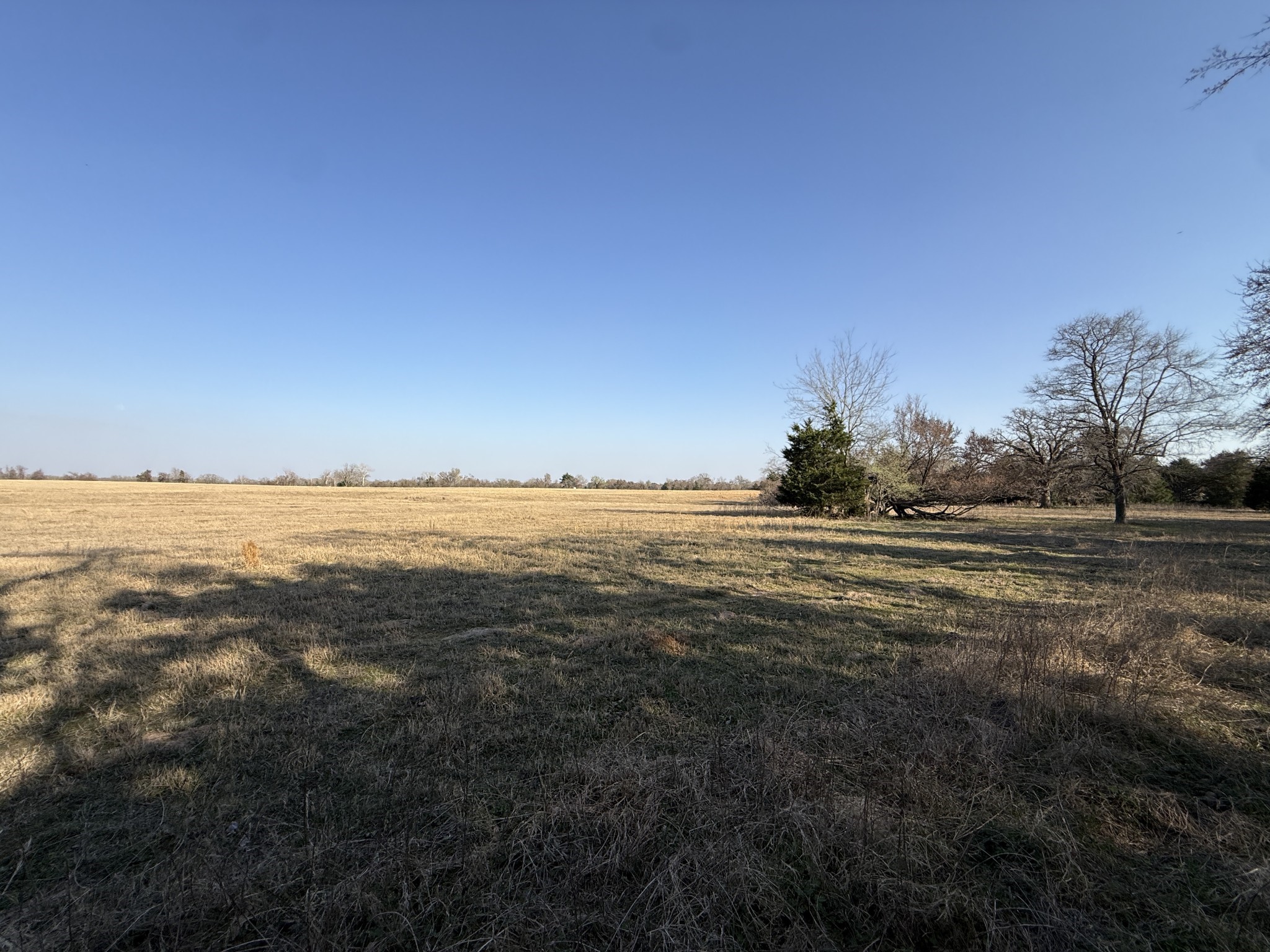 7 Fcr 445 Fairfield, TX 75840 - Photo 10 of 15