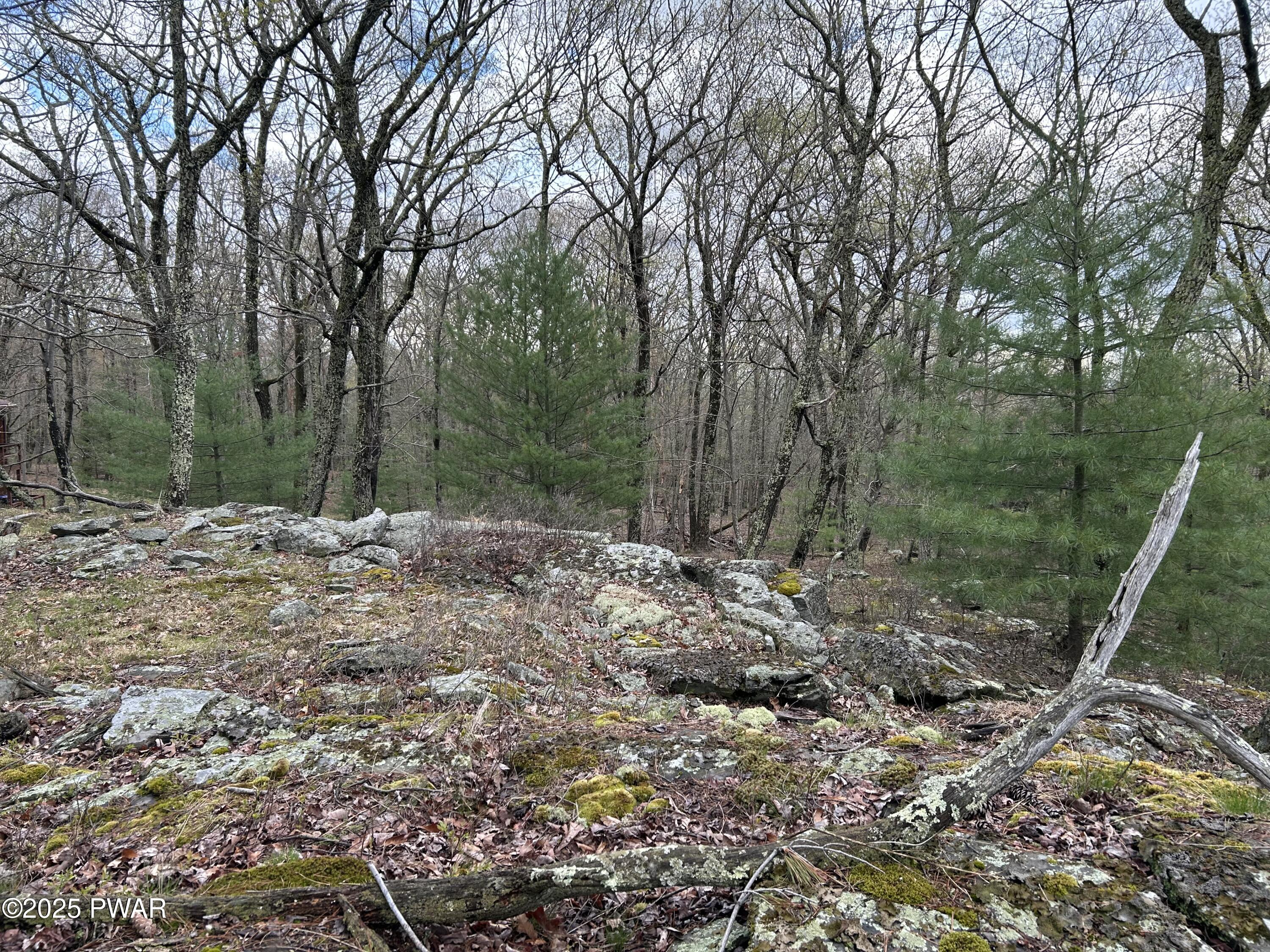 Lot 129 Pitch Pine Road Dingmans Ferry, PA 18328 - Photo 5 of 13