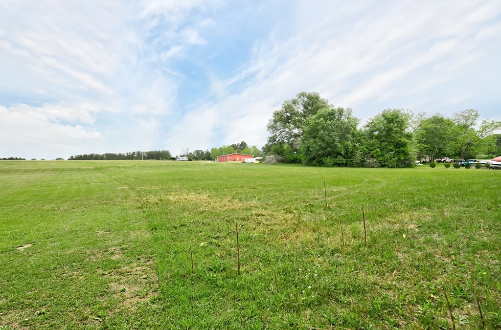 Lot 3 McCord Road Dothan, AL 36301 - Photo 5 of 10