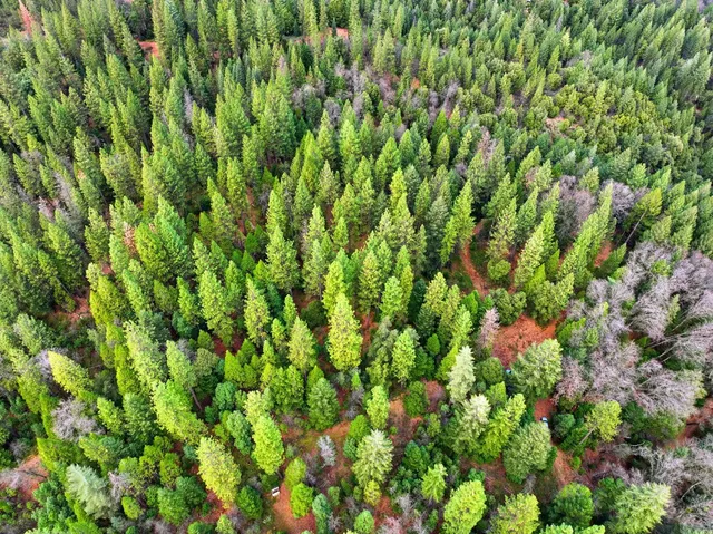 $327,000 | 12050 Buckeye Road, Nevada City, CA 95959