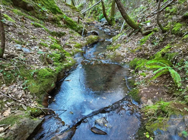 $327,000 | 12050 Buckeye Road, Nevada City, CA 95959