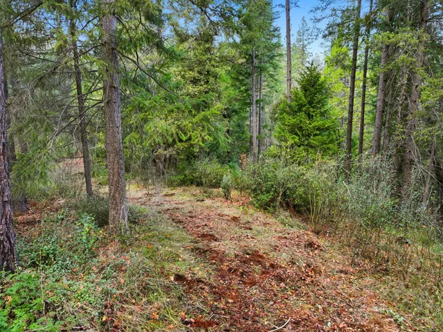 $327,000 | 12050 Buckeye Road, Nevada City, CA 95959