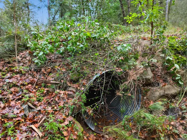 $327,000 | 12050 Buckeye Road, Nevada City, CA 95959