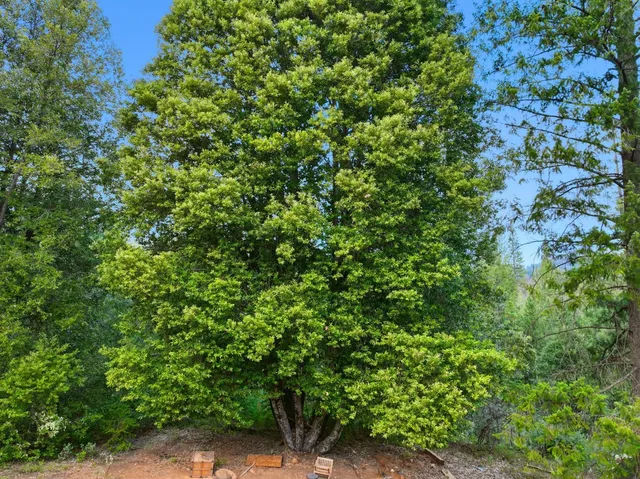 $327,000 | 12050 Buckeye Road, Nevada City, CA 95959