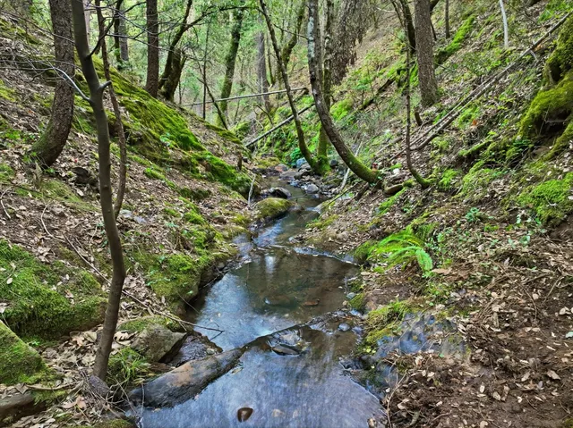 $327,000 | 12050 Buckeye Road, Nevada City, CA 95959