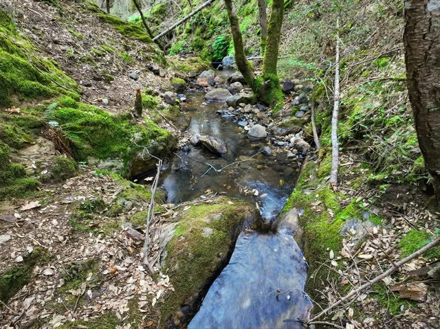 $327,000 | 12050 Buckeye Road, Nevada City, CA 95959