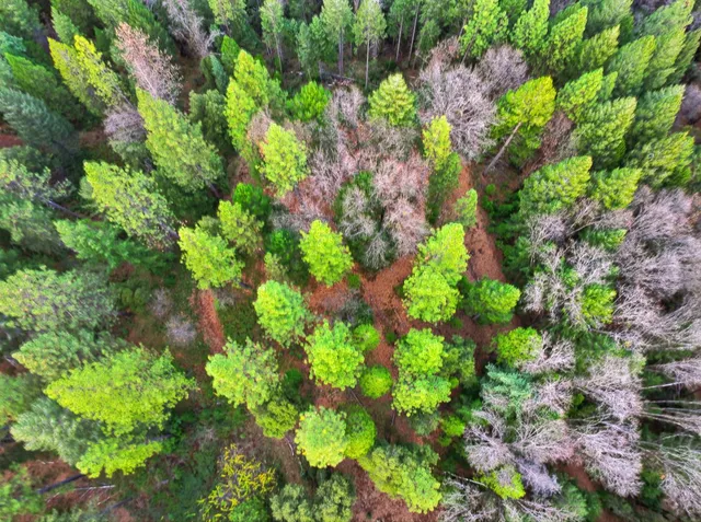 $327,000 | 12050 Buckeye Road, Nevada City, CA 95959