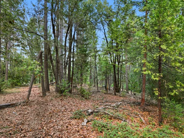 $327,000 | 12050 Buckeye Road, Nevada City, CA 95959