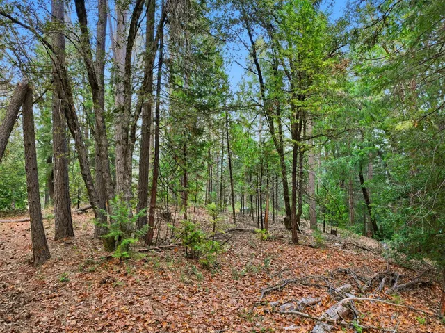 $327,000 | 12050 Buckeye Road, Nevada City, CA 95959