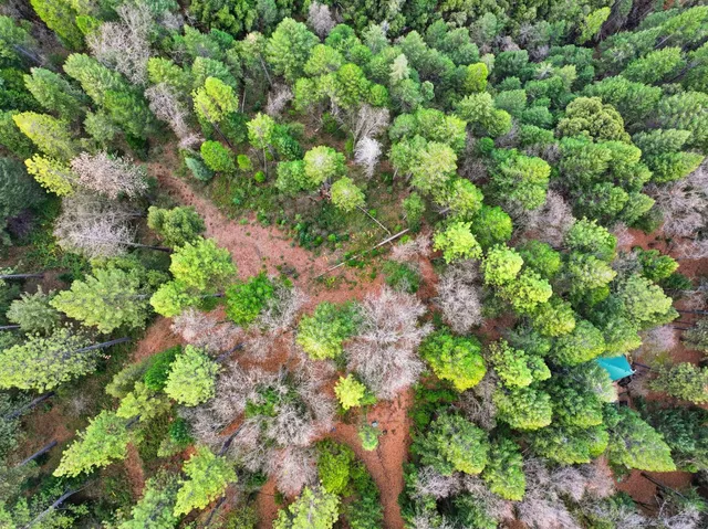 $327,000 | 12050 Buckeye Road, Nevada City, CA 95959