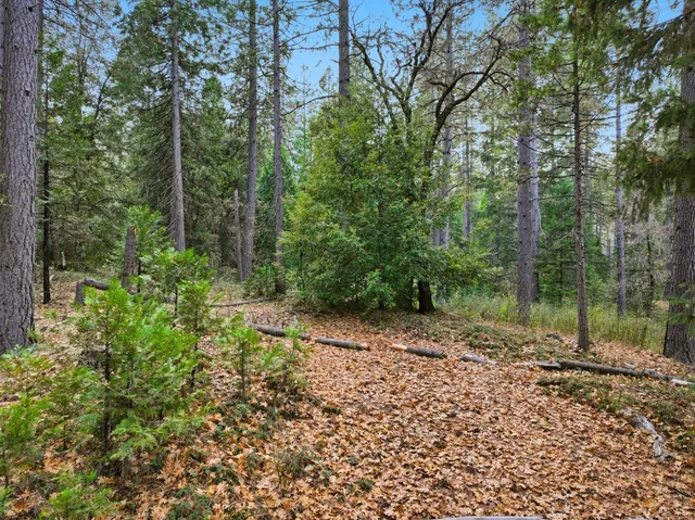 $327,000 | 12050 Buckeye Road, Nevada City, CA 95959