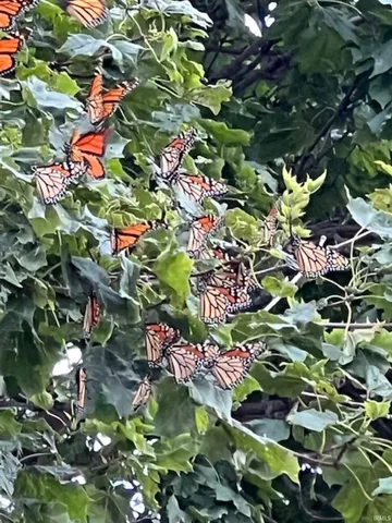 $244,900 | 4849 North 1100 West, Earl Park, IN 47942