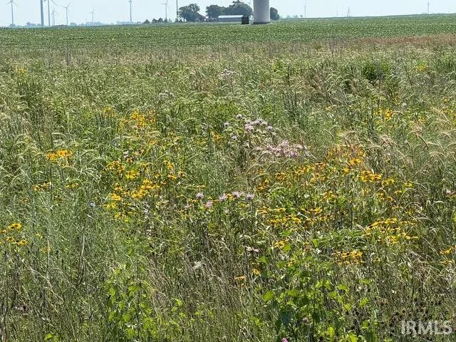 $244,900 | 4849 North 1100 West, Earl Park, IN 47942