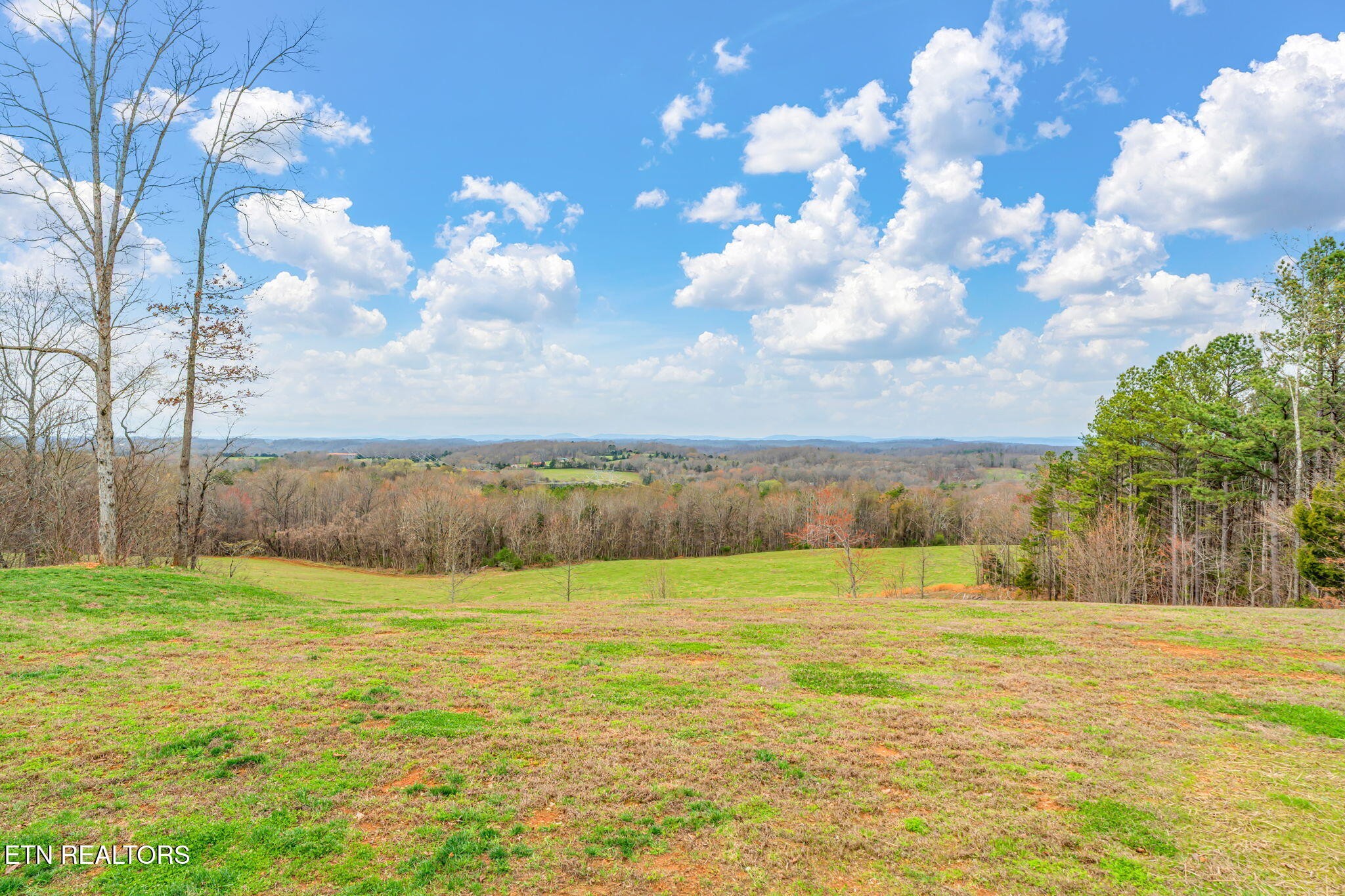 3493 Foshee Road Philadelphia, TN 37846 - Photo 41 of 60 Gallery Image 41
