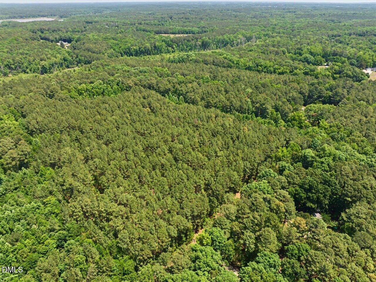 Lot 2 Clyde Farrell Road Apex, NC 27523 - Photo 7 of 28