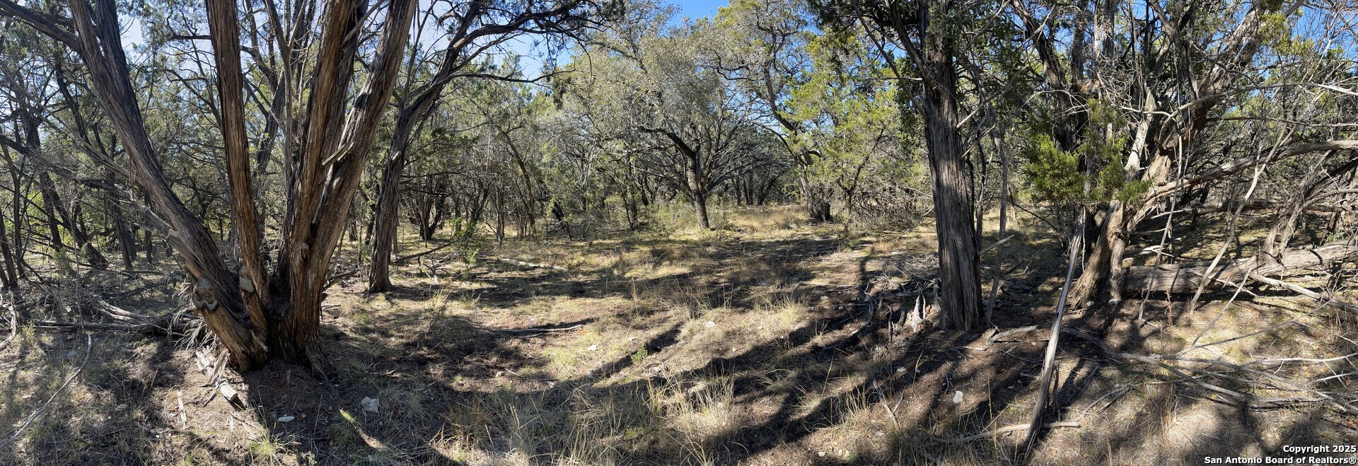 22-nd St Bandera, TX 78003 - Photo 3 of 14 a view of tree