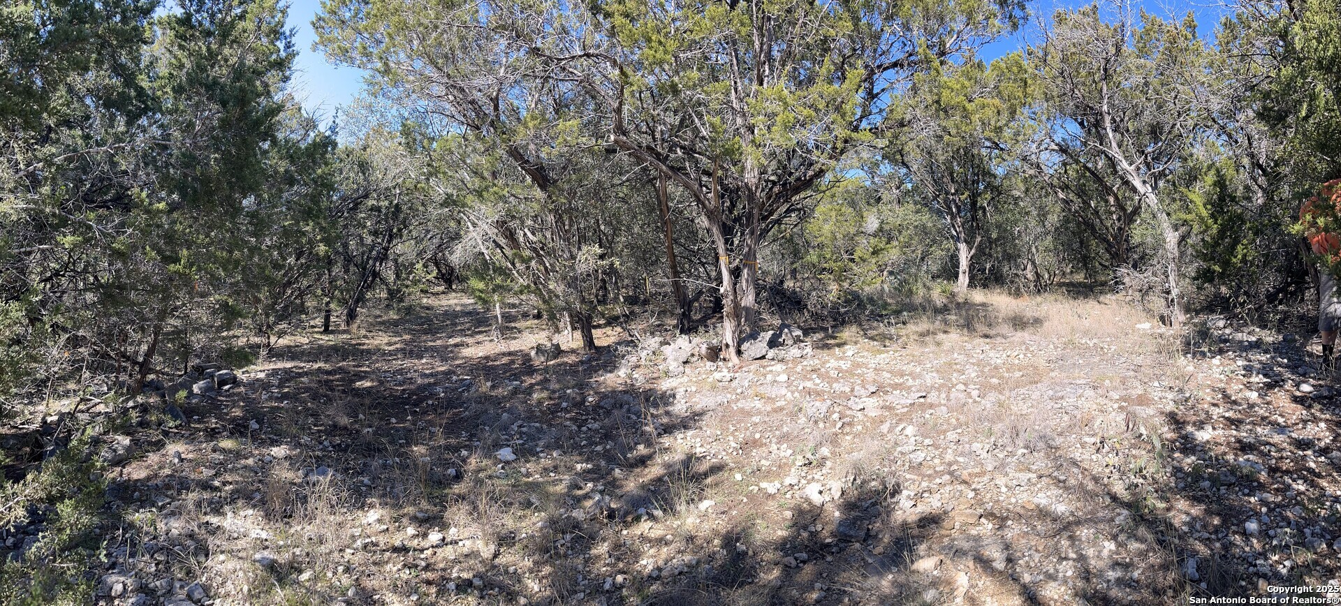 22-nd St Bandera, TX 78003 - Photo 4 of 14 a view of a forest with trees