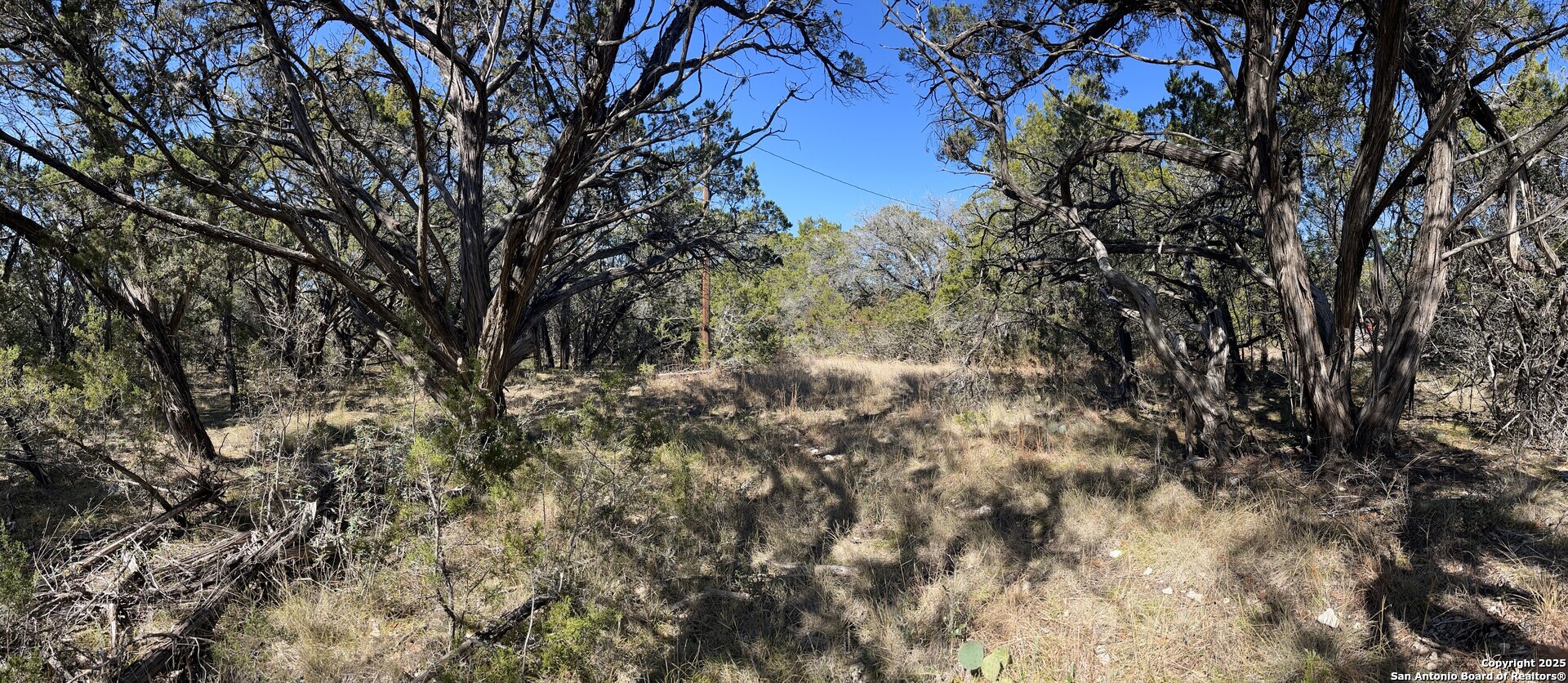 22-nd St Bandera, TX 78003 - Photo 6 of 14 a view of a tree in a yard