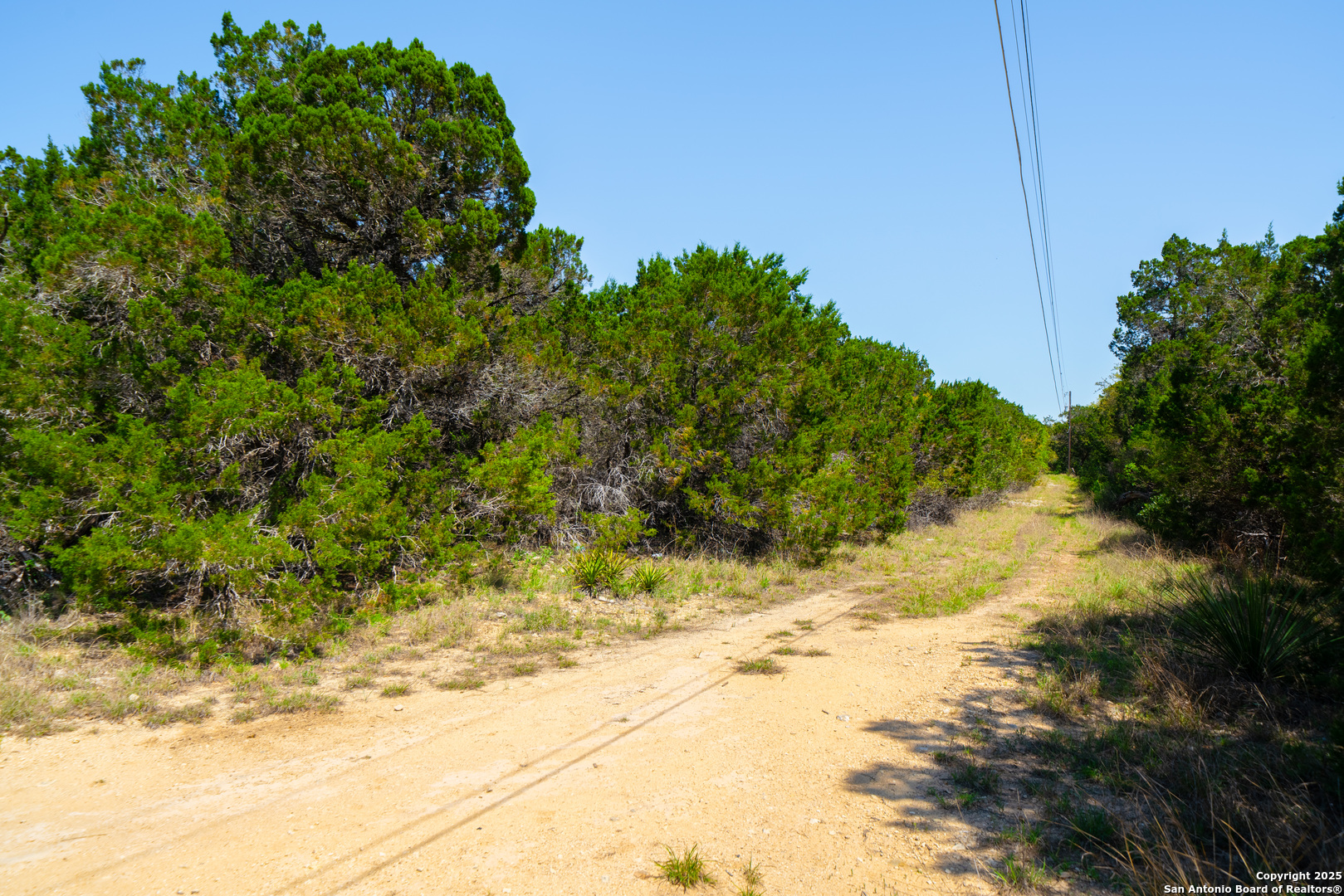 22-nd St Bandera, TX 78003 - Photo 7 of 14 a view of a yard covered with trees