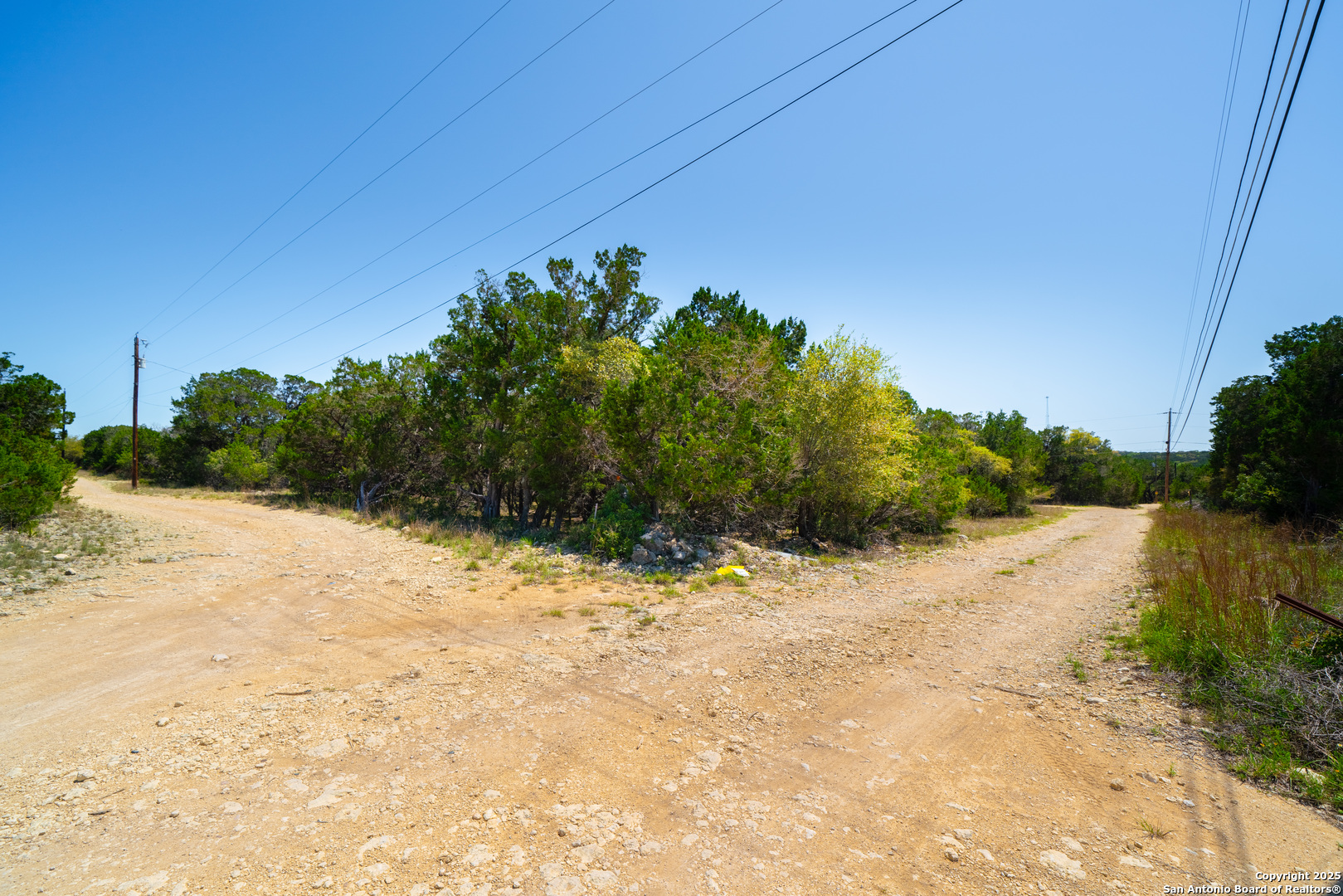 22-nd St Bandera, TX 78003 - Photo 9 of 14 a view of a dry yard with plants and a large tree