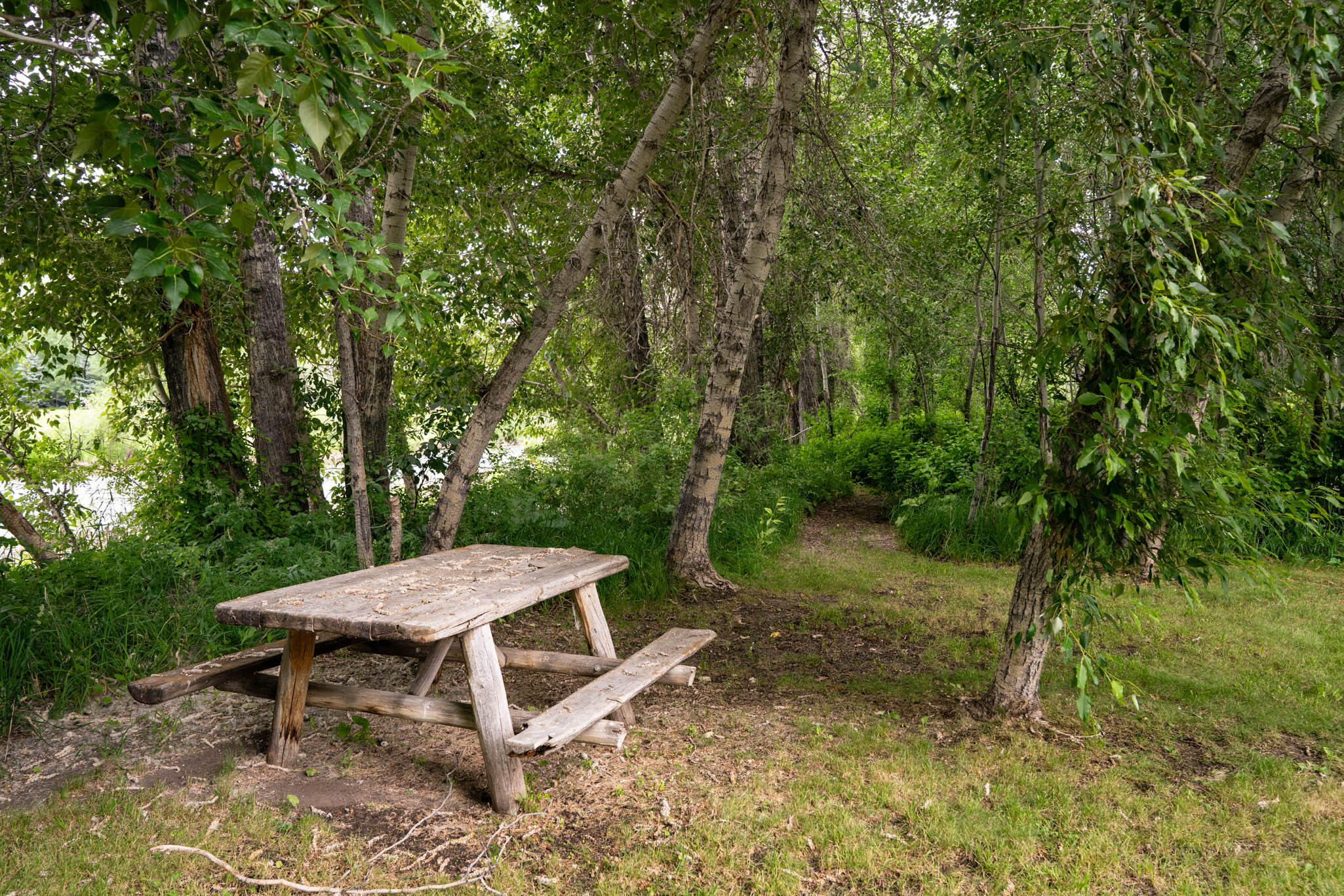 302 Easy Street Blaine County, ID 83333 - Photo 44 of 56 Bench at River