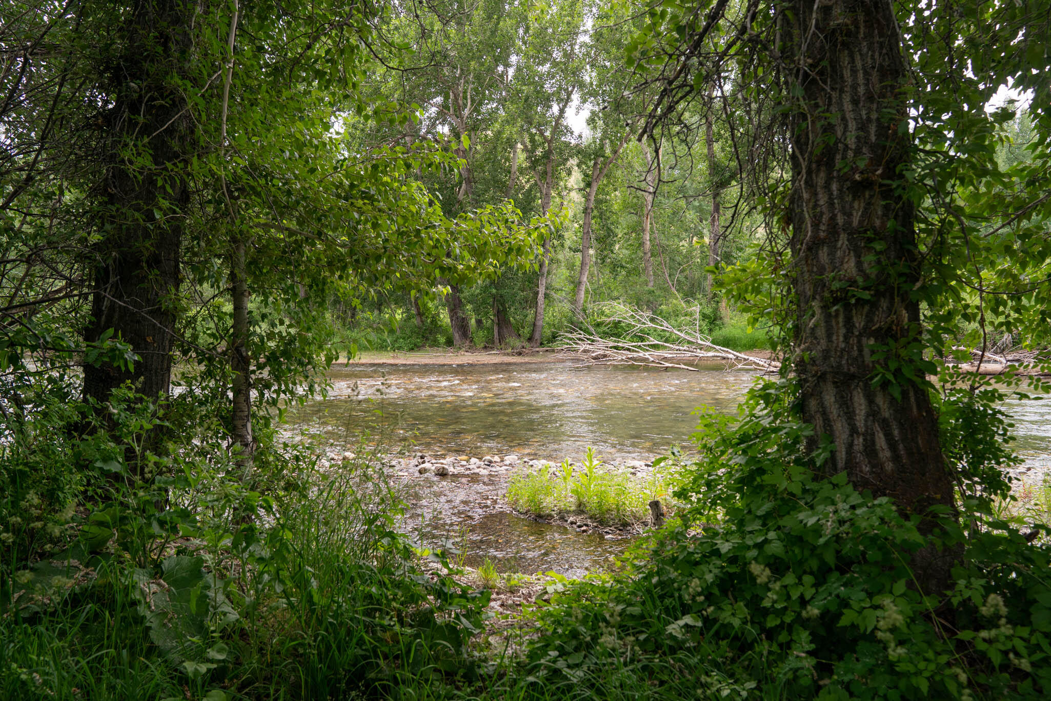 302 Easy Street Blaine County, ID 83333 - Photo 45 of 56 Big Wood River 1