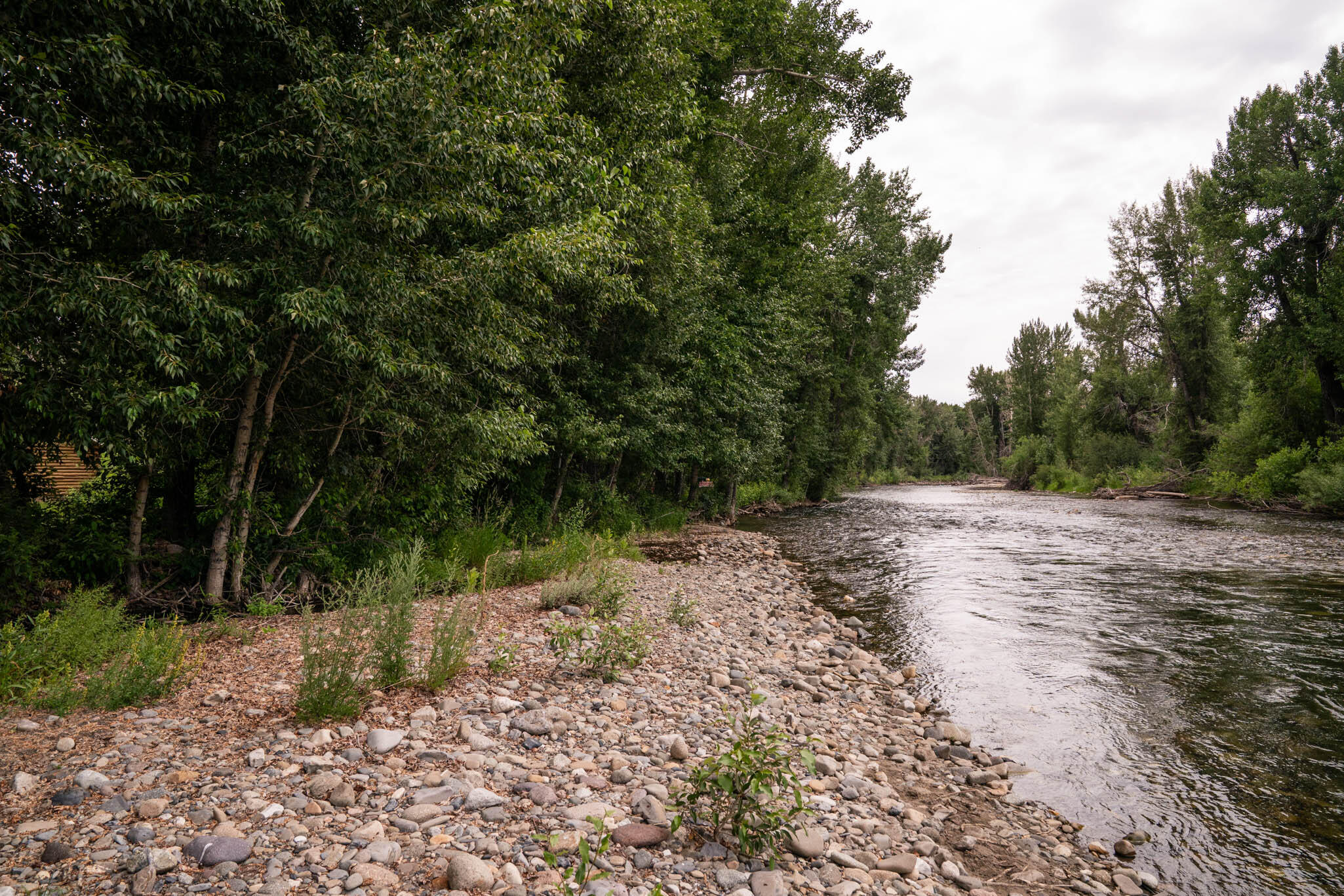 302 Easy Street Blaine County, ID 83333 - Photo 47 of 56 River Looking South